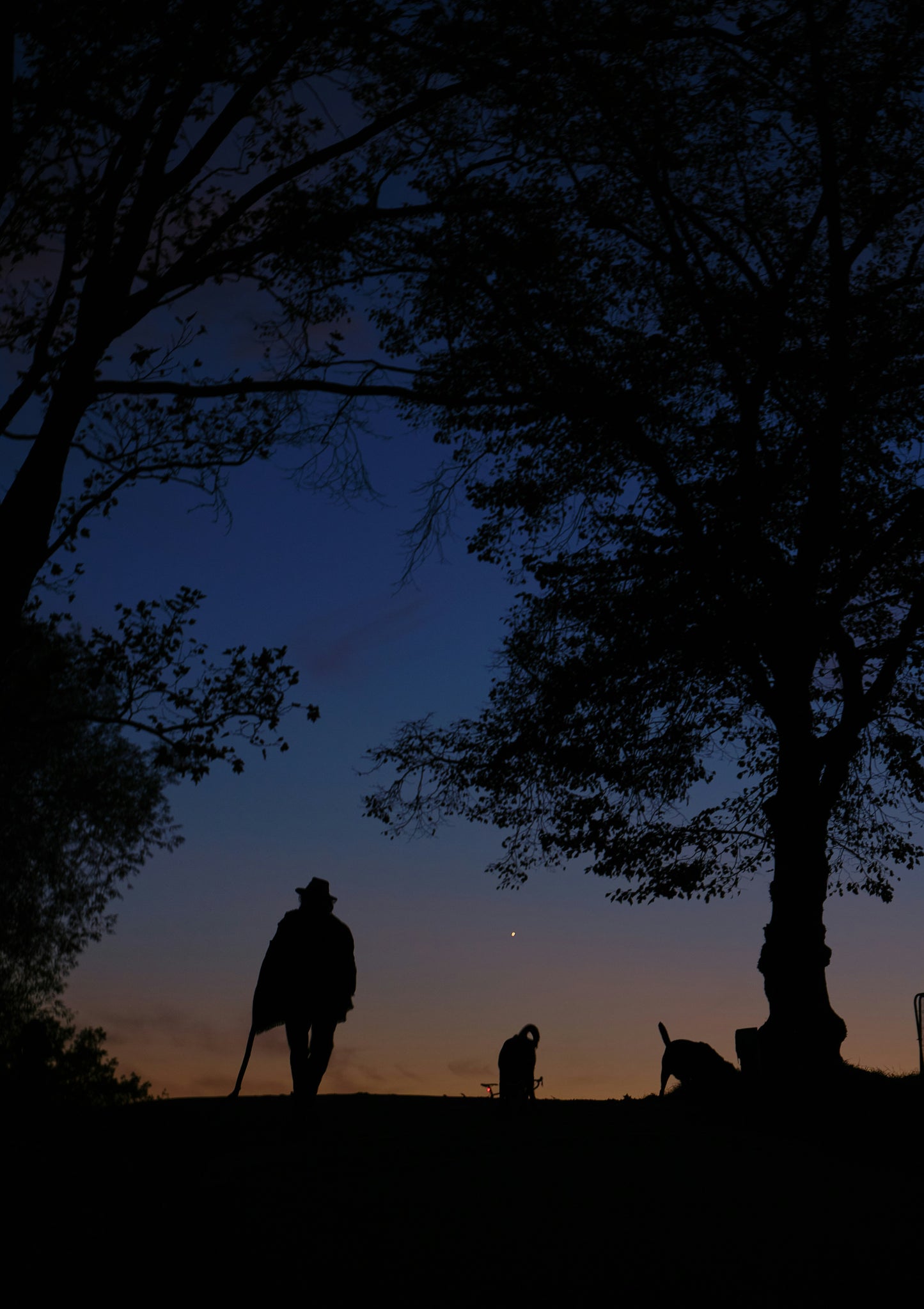 THE 30-DAY SELF-IMPROVEMENT BLUEPRINT (Swedish Edition)